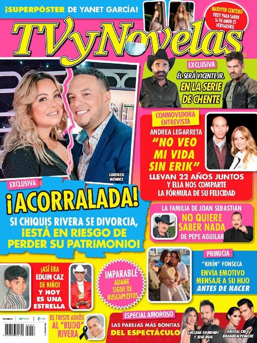 Cover image for TV y Novelas México